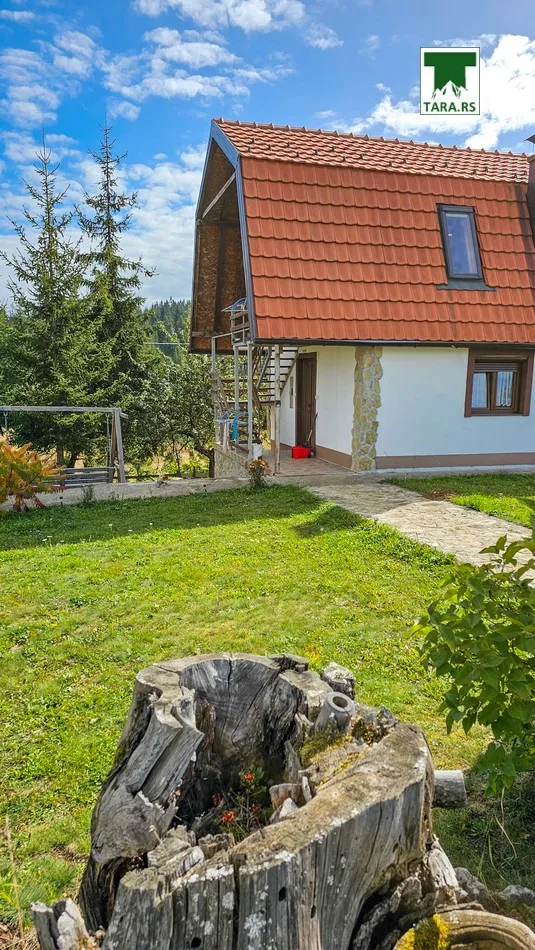 Apartmani ZAOVINE NA TARI