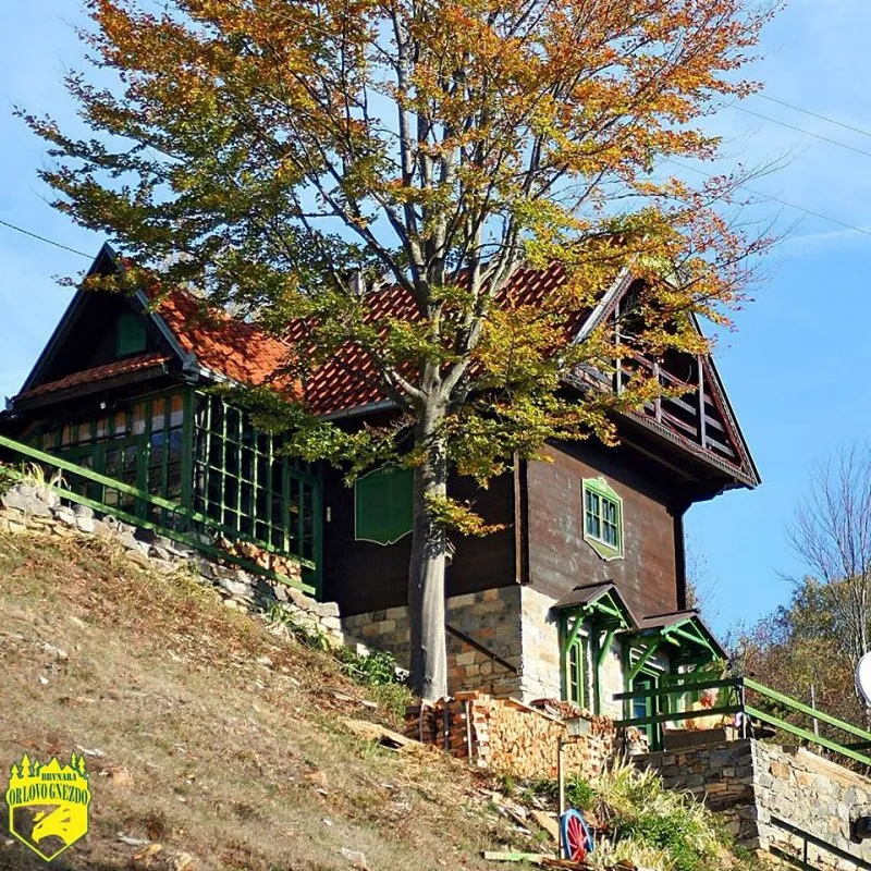 Brvnara Orlovo Gnezdo